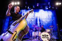 2016-11-30 - Tiger Army från Pustervik, Göteborg