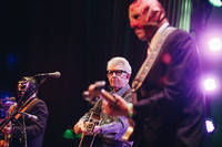 2016-12-04 - Nick Lowe & Los Straitjackets från Nalen, Stockholm
