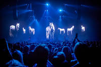 2016-12-16 - Kent från Tele2 Arena, Stockholm