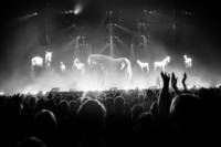 2016-12-16 - Kent från Tele2 Arena, Stockholm