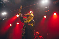 2017-06-11 - Lee Scratch Perry & Mad Professor från Kägelbanan, Stockholm