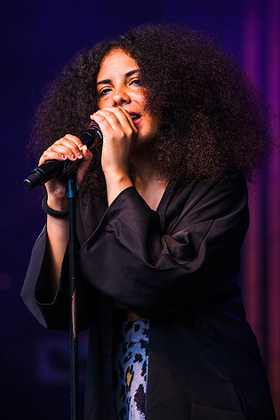 2017-06-15 - Mapei från Liseberg, Göteborg