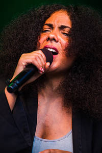 2017-06-15 - Mapei från Liseberg, Göteborg