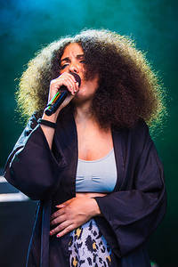 2017-06-15 - Mapei från Liseberg, Göteborg