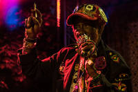 2017-06-24 - Lee Scratch Perry & Mad Professor från Trädgård de luxe, Växjö