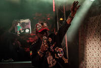 2017-06-24 - Lee Scratch Perry & Mad Professor från Trädgård de luxe, Växjö