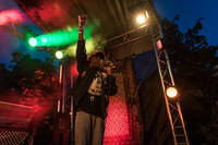 2017-06-24 - Lee Scratch Perry & Mad Professor från Trädgård de luxe, Växjö