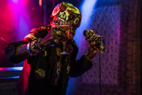 2017-06-24 - Lee Scratch Perry & Mad Professor från Trädgård de luxe, Växjö