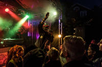 2017-06-24 - Lee Scratch Perry & Mad Professor från Trädgård de luxe, Växjö
