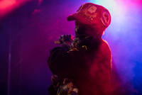 2017-06-24 - Lee Scratch Perry & Mad Professor från Trädgård de luxe, Växjö
