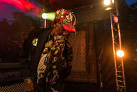2017-06-24 - Lee Scratch Perry & Mad Professor från Trädgård de luxe, Växjö