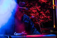 2017-06-24 - Lee Scratch Perry & Mad Professor från Trädgård de luxe, Växjö