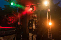 2017-06-24 - Lee Scratch Perry & Mad Professor från Trädgård de luxe, Växjö