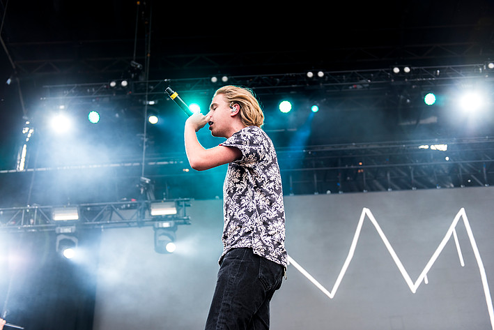 2017-07-07 - Hov1 från Peace & Love, Borlänge