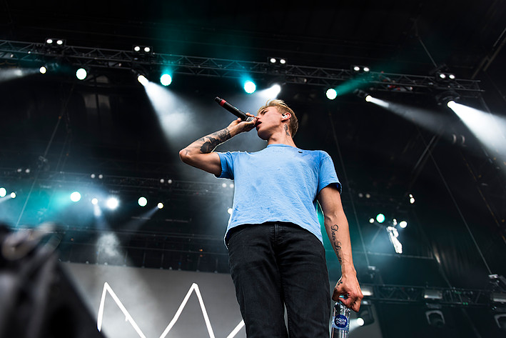 2017-07-07 - Hov1 från Peace & Love, Borlänge