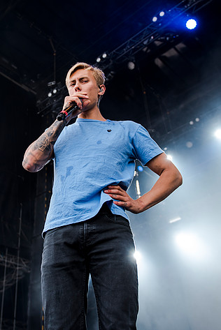 2017-07-07 - Hov1 från Peace & Love, Borlänge