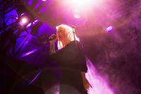 2017-07-28 - The Sounds från Putte i Parken (Stockholm), Stockholm