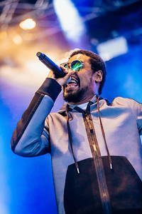 2017-08-10 - Danny Brown från Way Out West, Göteborg