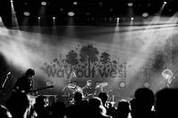 2017-08-10 - Sunflower Bean från Way Out West, Göteborg