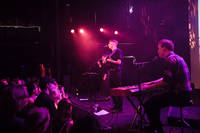 2017-08-11 - Vasas flora & fauna från Way Out West, Göteborg