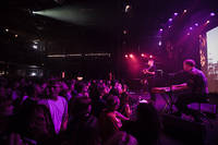 2017-08-11 - Vasas flora & fauna från Way Out West, Göteborg