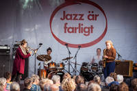 2017-08-16 - Selvhenter från Liseberg, Jazz är farligt, Göteborg