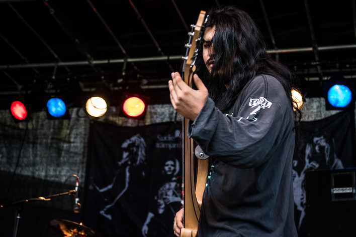2017-08-18 - Kattlik från Karl Oskar-dagarna, Växjö