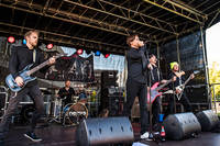 2017-08-19 - Röjsåg från Karl Oskar-dagarna, Växjö