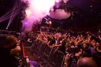 2013-08-17 - Steve Aoki från Trädgår'n, Göteborg