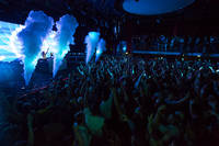 2013-08-17 - Steve Aoki från Trädgår'n, Göteborg