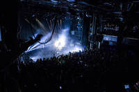 2018-04-27 - Parham från Pustervik, Göteborg