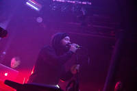 2018-05-19 - Ulver från Kägelbanan, Stockholm