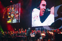 2018-06-02 - Elvis in Concert - Live on Screen från Globen, Stockholm