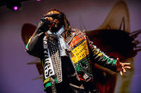 2018-06-08 - Skindred från Sweden Rock Festival, Sölvesborg