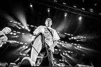 2018-07-06 - Descendents från Roskildefestivalen, Roskilde