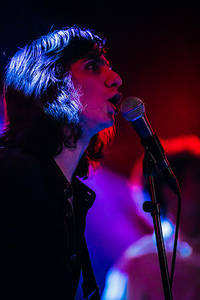 2018-08-09 - The Lemon Twigs från Way Out West, Göteborg