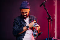 2018-08-11 - Fleet Foxes från Way Out West, Göteborg