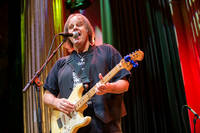 2018-11-14 - Walter Trout från Nalen, Stockholm