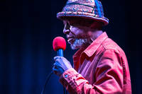 2019-03-03 - Laraaji från Slaktkyrkan, Stockholm