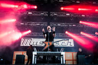 2019-05-03 - Mustasch från Gröna Lund, Stockholm