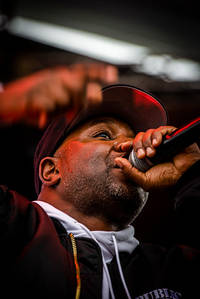 2019-05-24 - Public Enemy från Skansen, Stockholm