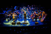 2019-06-07 - El Sistema: José González, Mariam The Believer, El Perro del Mar från Clandestino, Göteborg