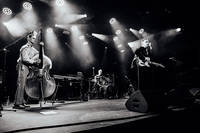 2019-06-15 - Ed Cavin And The Blue Kings från Liseberg, Göteborg