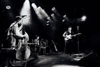 2019-06-15 - Ed Cavin And The Blue Kings från Liseberg, Göteborg