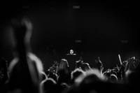 2019-06-28 - Eric Prydz från Lollapalooza, Stockholm