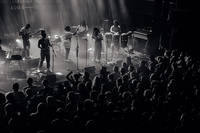 2019-08-10 - Kokoroko från Way Out West, Göteborg