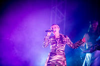 2019-08-17 - Robyn från Sjöhistoriska, Stockholm