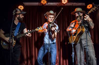 2019-08-21 - Hogslop String Band från Bar Brooklyn, Stockholm
