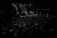 2019-11-15 - Hurula från Pustervik, Göteborg