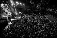 2019-11-15 - Hurula från Pustervik, Göteborg